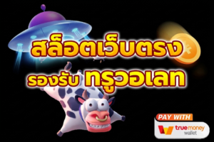 ฝากถอนวอเลท เว็บตรง ระบบอัตโนมัติ รองรับ TrueMoney Wallet ปี 2026